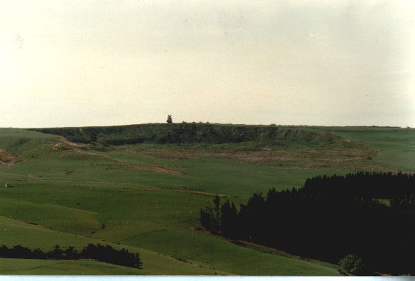 tapanui