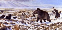megafauna